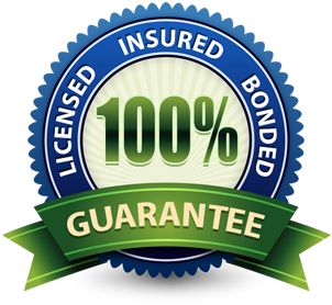 Licensed and Insured